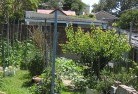 Redmond Westvegetable-gardens-12.jpg; ?>