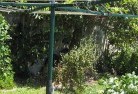Redmond Westvegetable-gardens-13.jpg; ?>