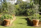 Redmond Westvegetable-gardens-3.jpg; ?>